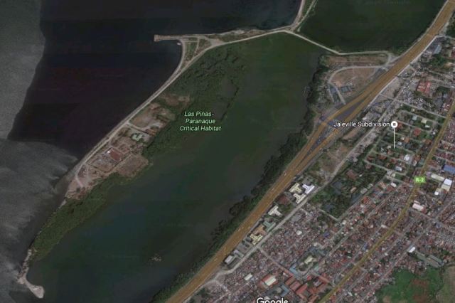 Villar: Manila Bay airport project will cause massive flooding