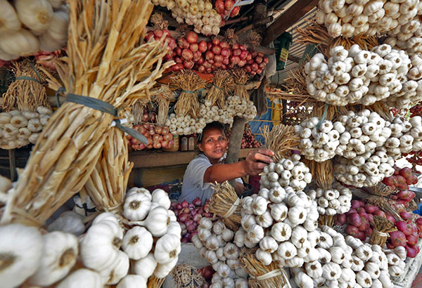 Cynthia Villar hits resurgence of garlic cartel   