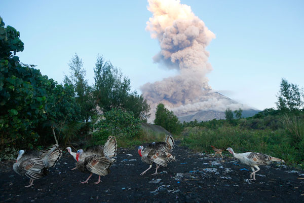 Mayon ejects intense lava fountains anew