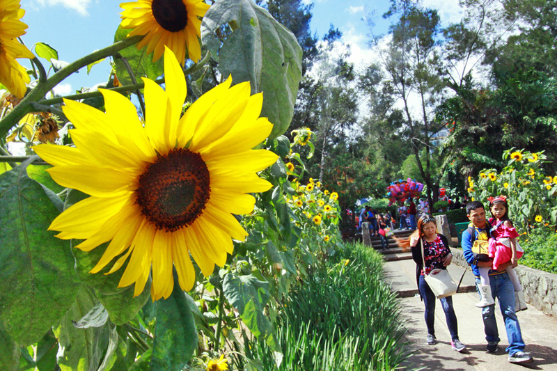 Vernal equinox to bring longer days