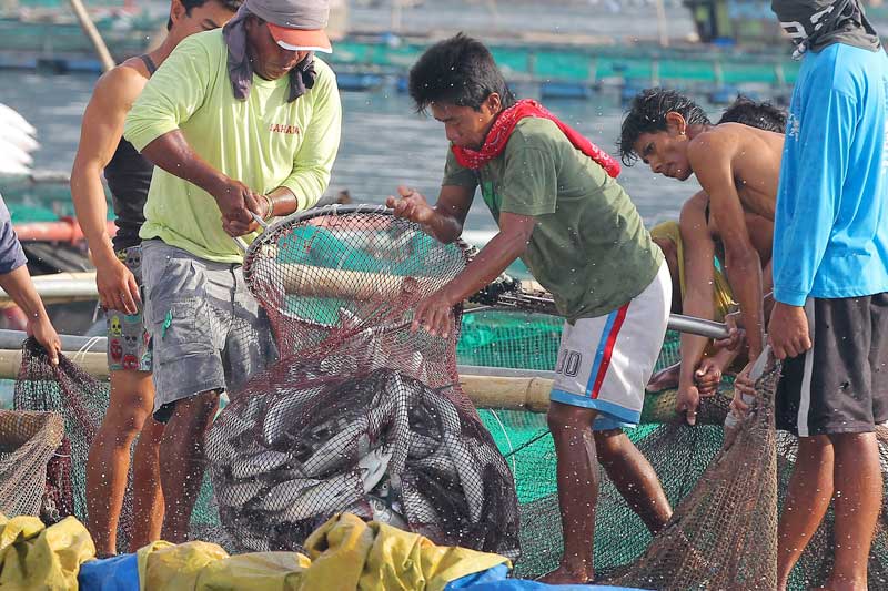 Barter system emerging in disputed Scarborough Shoal