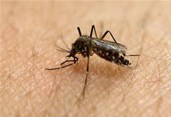 Another pregnant woman infected with Zika