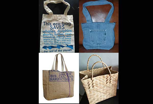 Saving mother earth, one reusable bag at a time