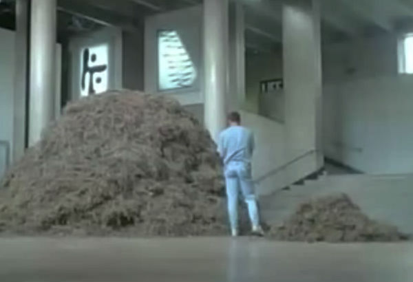 WATCH: Artist tries to 'literally' find a needle in a haystack