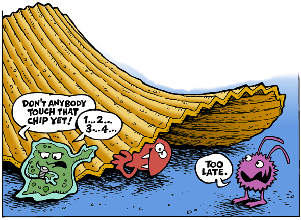 The 5-second rule on food is not as safe as you think