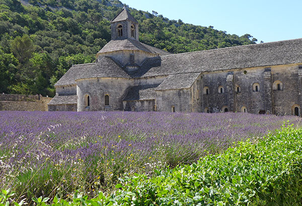 Life’s little pleasures in Le Petit Luberon, Provence | Travel and ...