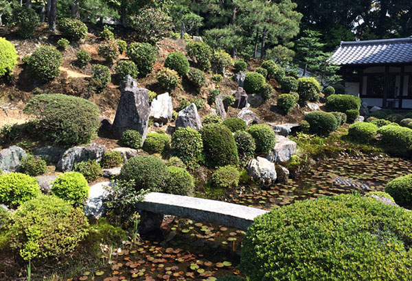 Patches of paradise: Kyotoâs Zen temple gardens