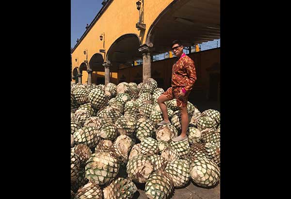 A love letter to Tequila, Mexico 