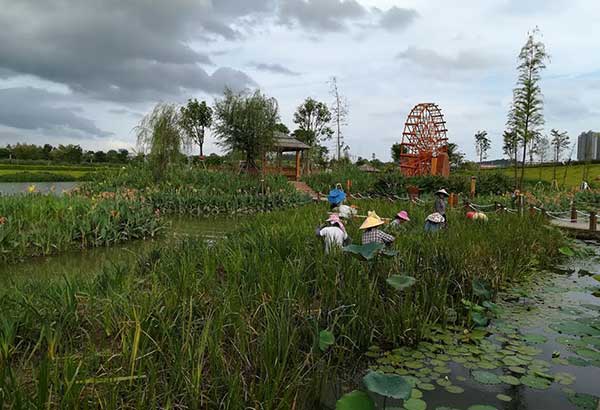 Nanning: Nature at the heart of progress     