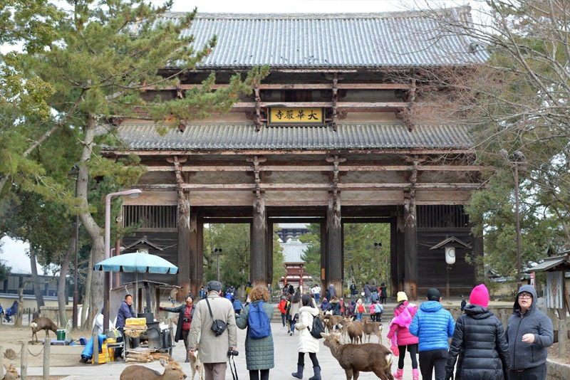 Nara and Kyoto: Cities that are as old as time  yet upbeat as  the modern rhyme    
