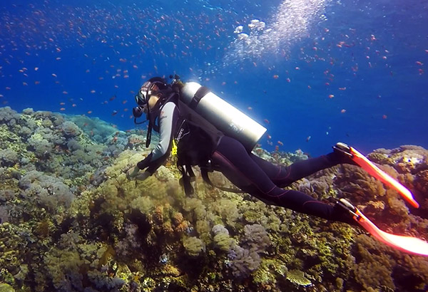 WATCH: Summer diving in Anilao, Batangas