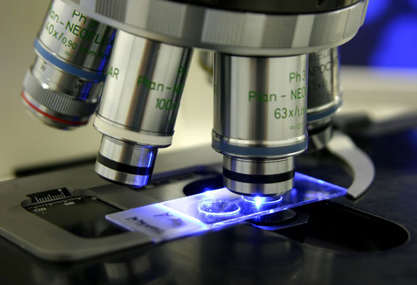 Solons bat for science labs in elementary, high schools
