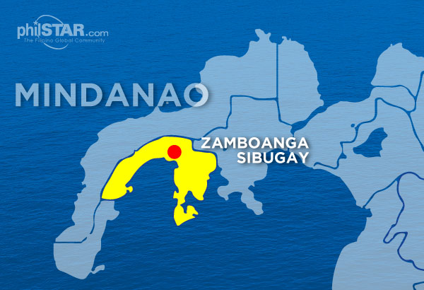 Twins from terrorist-linked gang surrender in Zamboanga Sibugay