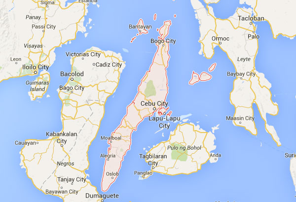 Cebu richest in equity, Negros highest income earner