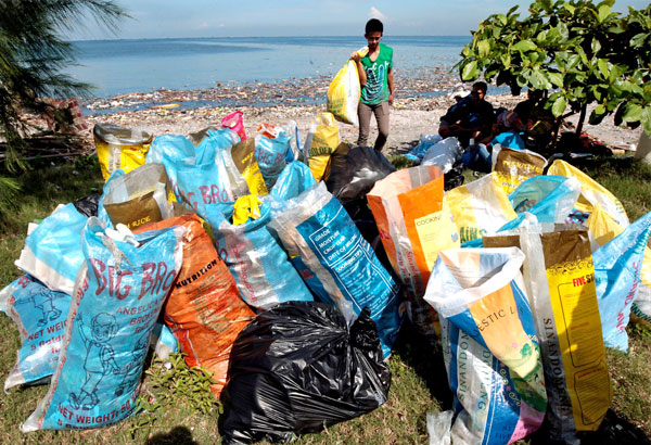 Freedom Island&rsquo;s migratory birds eyed as tourist draw