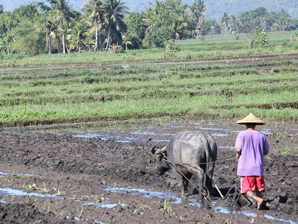 Get farmers out of poverty