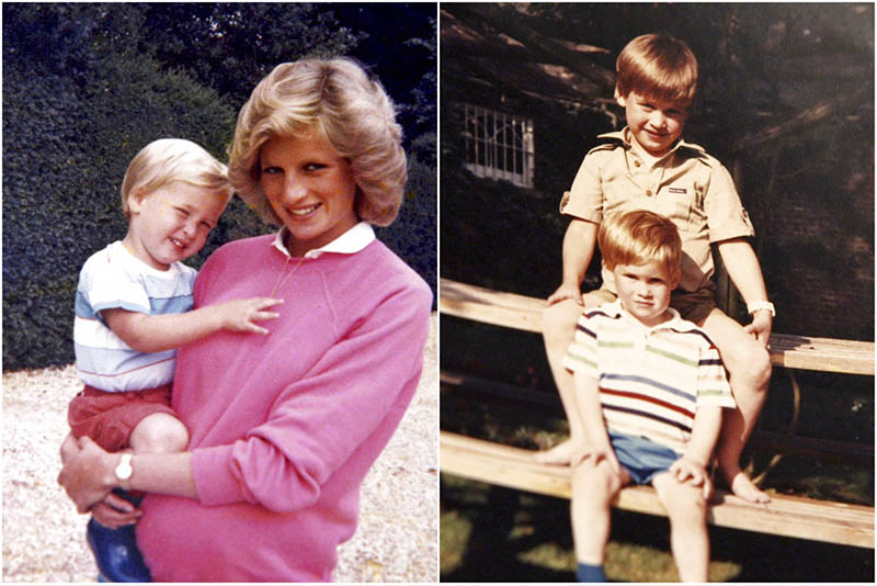 William, Harry bare details of final call with Diana