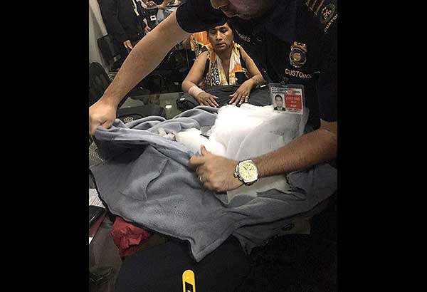 Bolivian caught with cocaine at NAIA