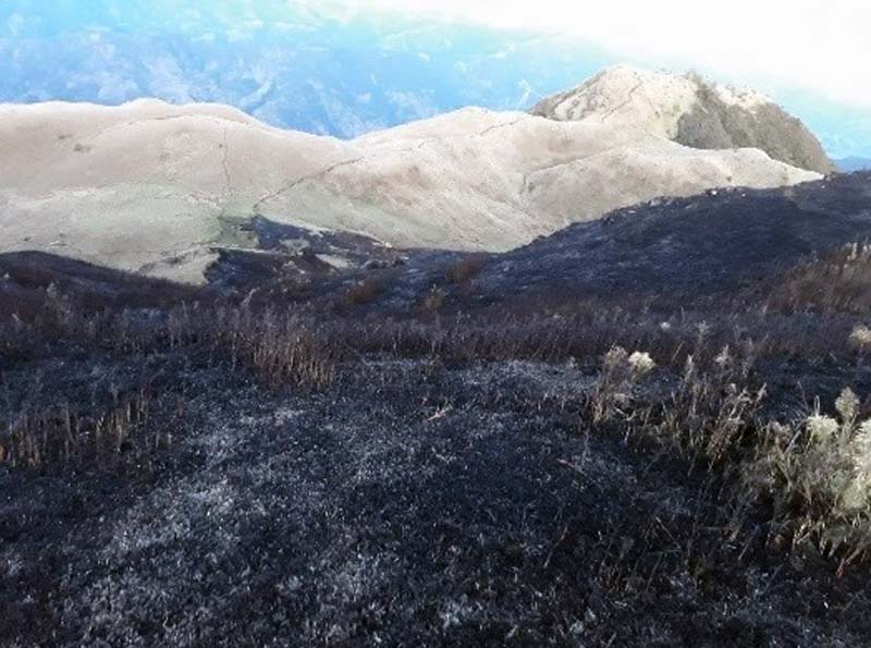 Damaged Mount Pulag peak off limits after brush fire