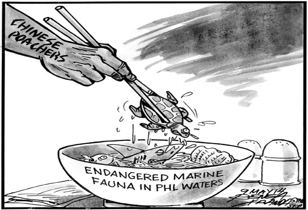 EDITORIAL - Threat to wildlife