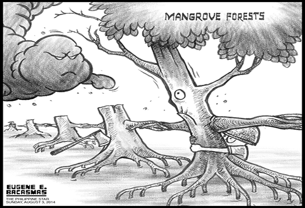 EDITORIAL - Barriers to disaster