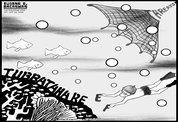 EDITORIAL - Reef recovery