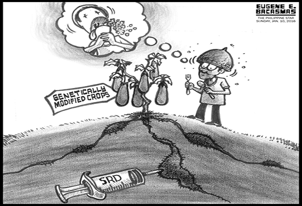 EDITORIAL - Science and the environment