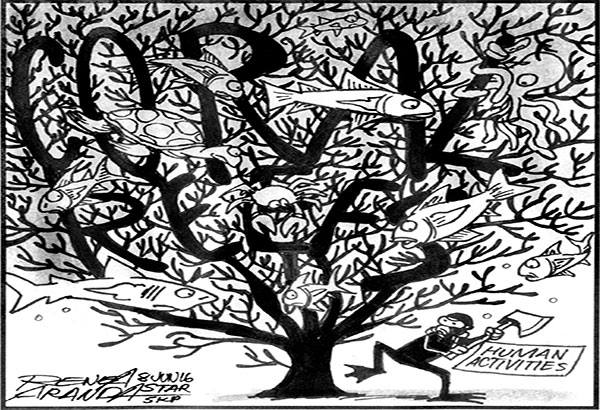 EDITORIAL - Healthy oceans, healthy planet