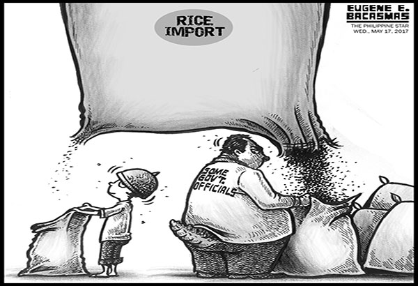 EDITORIAL - Importing rice