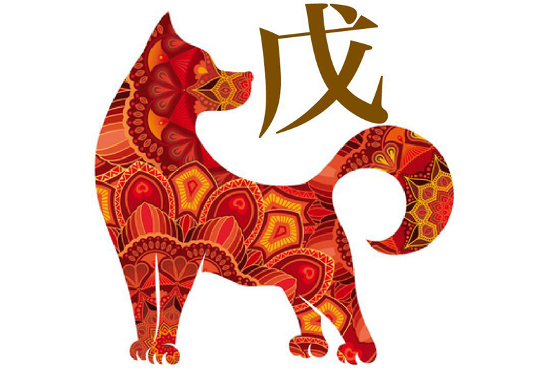 Year of the Earth Dog   