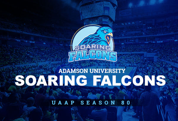 Do the Adamson Falcons have enough chemistry?