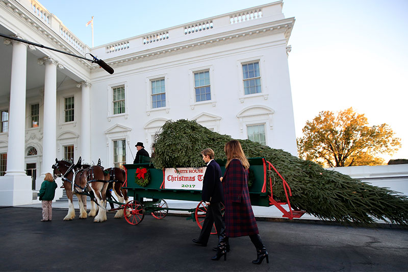 Melania Trump takes custody of White House Christmas tree