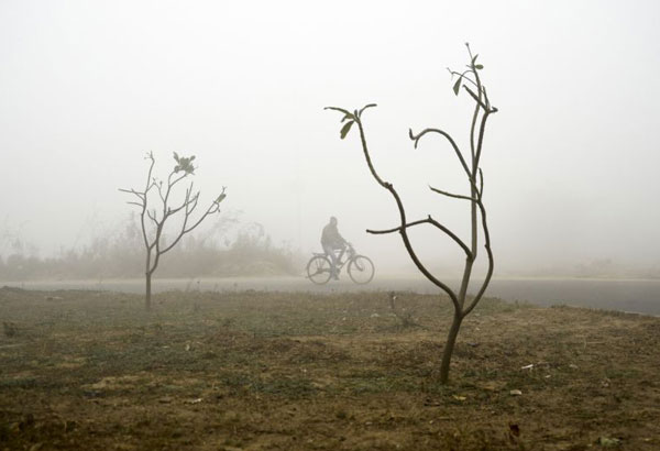 Dense fog disrupts travel in New Delhi and northern India