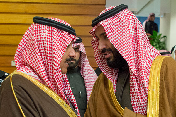 Saudi Arabia confirms princes arrested over protest