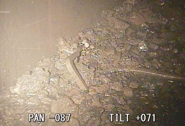 Melted nuclear fuel seen inside second Fukushima reactor