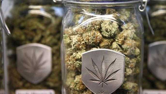 &ldquo;Kush weeds&rsquo; imported?