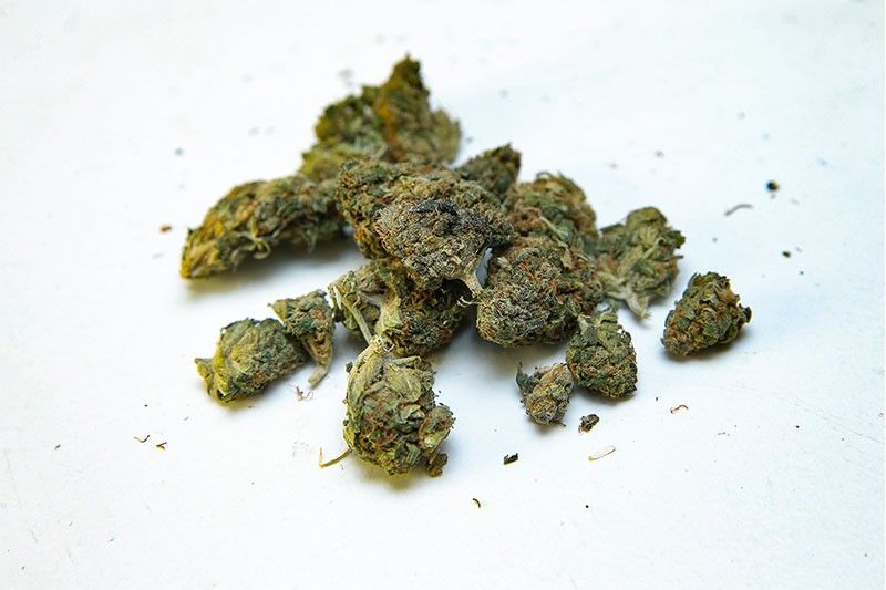 Padilla files bill pushing for legalization of medical marijuana
