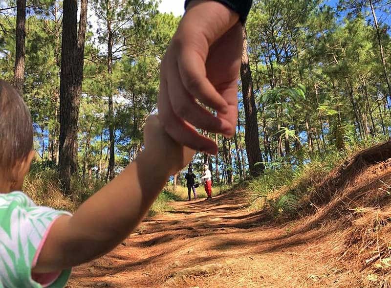 Find healing in Baguioâs forests