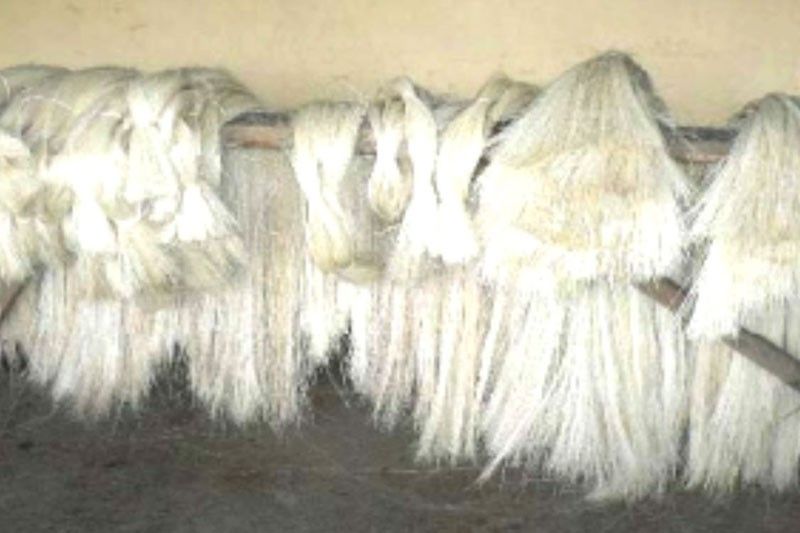 Marinduque cashes in  on buntal fiber weaving