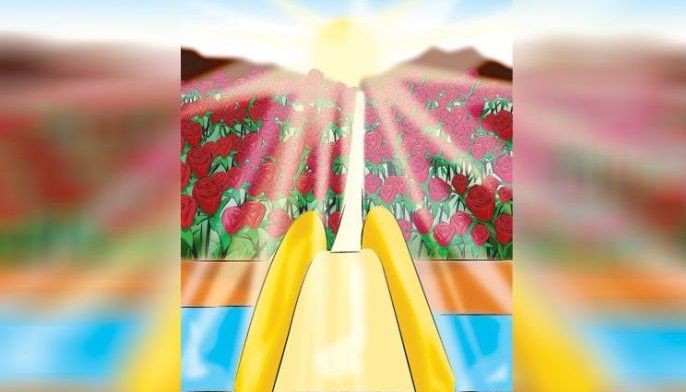 Build bridges of light