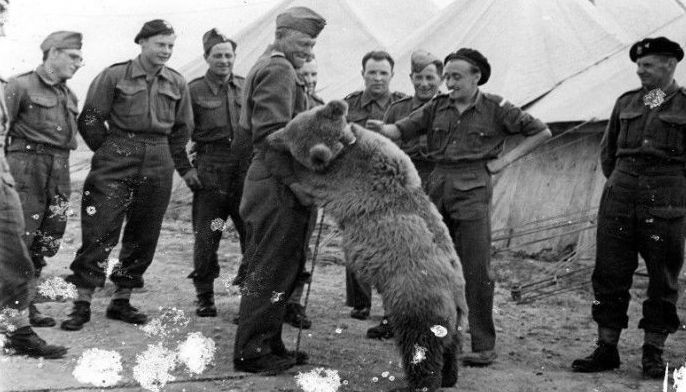 Kwento ng oso na tumulong sa WWII gagawing pelikula
