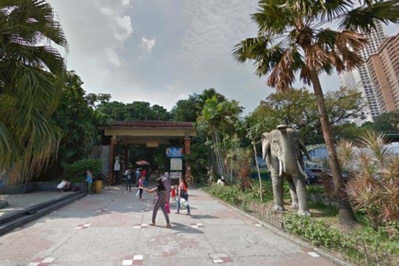 Manila Zoo to be temporarily closed