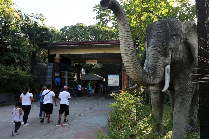 Manila Zoo shut down indefinitely due to untreated sewage