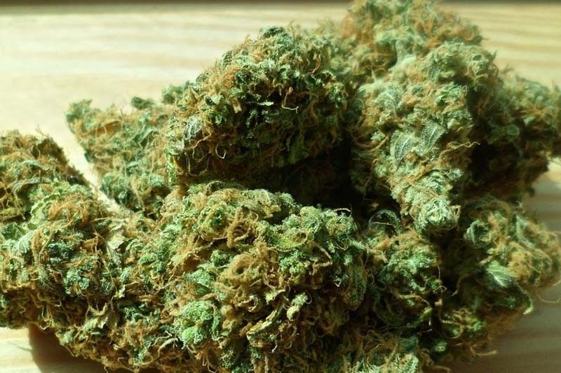 Bill legalizing medical marijuana passes second reading
