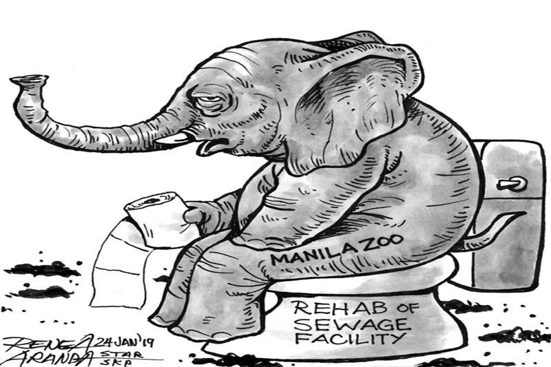 EDITORIAL - Beyond the zoo cleanup