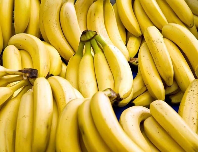 P8 billion banana plantation to rise at former MILF camp