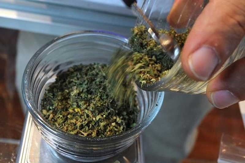 Medical marijuana wonâ��t be sold over the counter â�� lawmaker