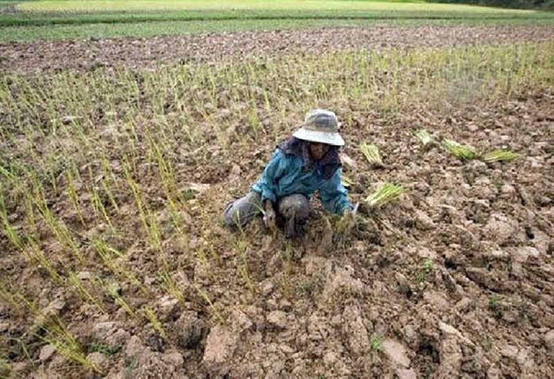 DA braces for El NiÃ±o