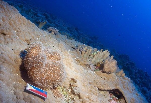 Philippines follows China, moves to name Benham Rise features