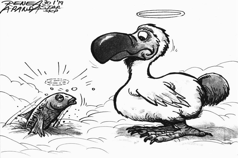 EDITORIAL - Endangered tawilis